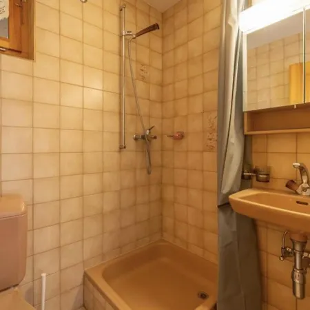 Magnifique A Haute-nendaz Hotel 4*